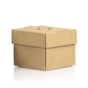 Premium burger box 5in Recyclable/Compostable (Case of 100)