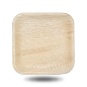 10-inch square palm leaf plate shown empty