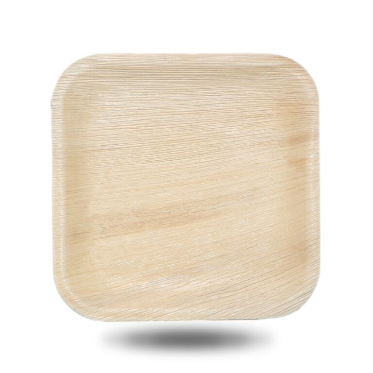10-inch square palm leaf plate shown empty